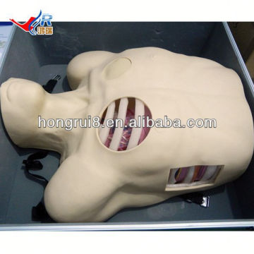 Mannequin de drainage pleural ISO, Pneumothorax Décompression, mannequin de drainage de la thoracentèse